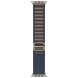 Apple Watch Ultra 2 49 мм Titanium Case, Blue Alpine Loop L