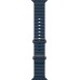 Apple Watch Ultra 2 49 мм Titanium Case, Blue Ocean Band