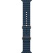 Apple Watch Ultra 2 49 мм Titanium Case, Blue Ocean Band