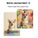 Samsung Galaxy S26 12/256 Gb Розовое золото (Pink Gold)